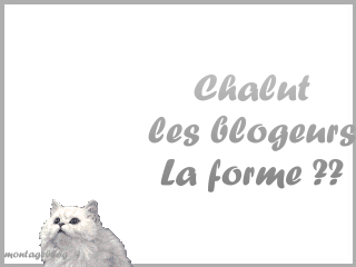 chalut les blogeurs????