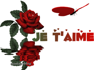 je t'aime